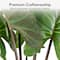 American Art Decor 4ft Artificial Rainbow Taro Tree in Cement Pot Faux Plant